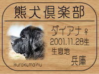 �_�C�A�i�܂܂���̂a�k�n�f�ւf�n�I